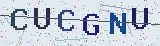 Anti-spam code *