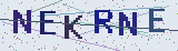 Anti-spam code *