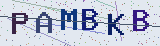 Anti-spam code *