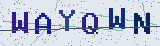 Anti-spam code *